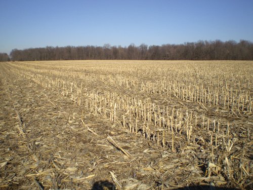 Property photo 10 - 159 Acres Offered in 7 Tracts